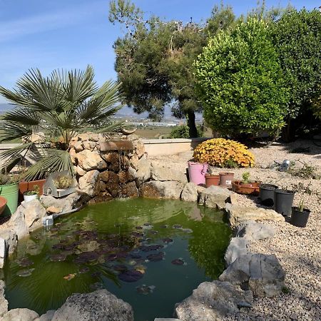 Apartamento entero con vistas panorámicas Avinyonet del Penedes Esterno foto